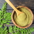A Little Leaf with Super Powers: Meet Moringa