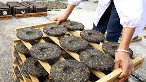 Ancient Method Puerh (20 years aged Sheng Puer)
