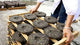 Ancient Method Puerh (20 years aged Sheng Puer)