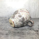 Bjarni Small Mug 7